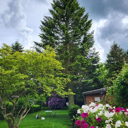 Westkueste Ferienwohnung Heide  Kültér fotó