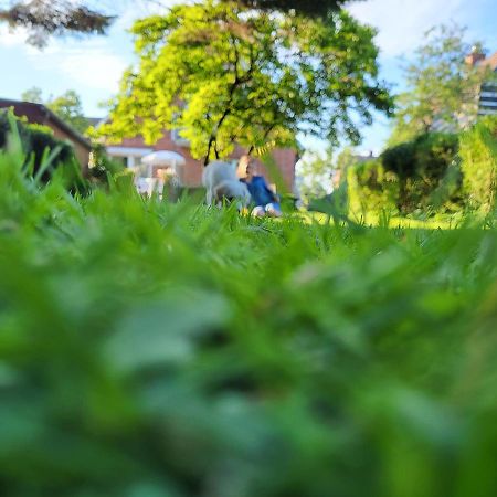 Westkueste Ferienwohnung Heide  Kültér fotó